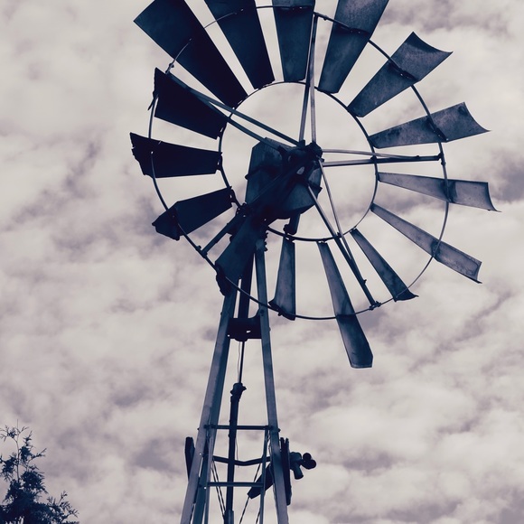 Meet your Posher, Amy - Picture 1 of 1